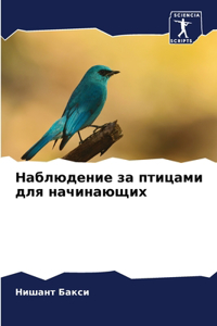 Наблюдение за птицами для начинающих