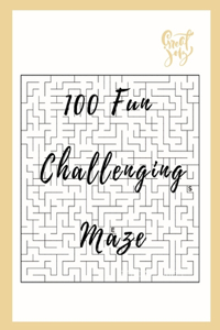 100 Fun Challenging Maze