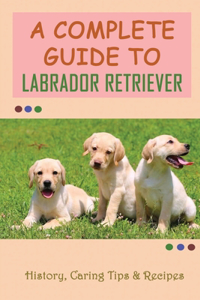 A Complete Guide To Labrador Retriever