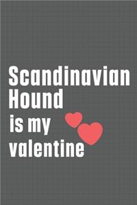 Scandinavian Hound is my valentine