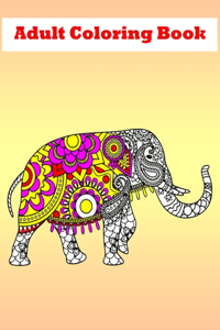 Adult Coloring Book