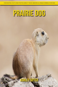 Prairie Dog