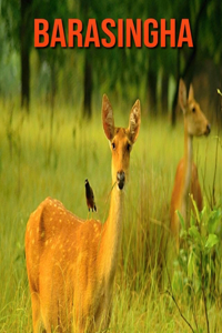 Barasingha