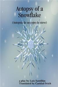 Autopsy of a Snowflake (Autopsia de un copo de nieve)