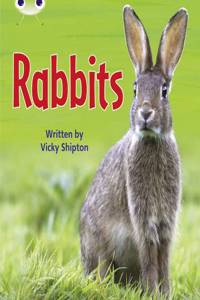 Bug Club Phonics - Phase 5 Unit 27: Rabbits