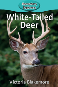 White-Tailed Deer