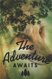 The Adventure Awaits
