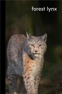 Forest Lynx