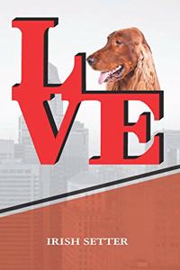 Irish Setter