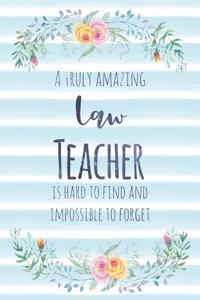 A Truly Amazing Law Teacher Is Hard to Find and Impossible to Forget