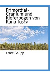 Primordial-Cranium Und Kieferbogen Von Rana Fusca