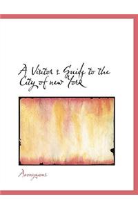 A Visitor S Guide to the City of New York