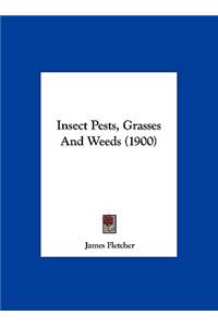 Insect Pests, Grasses and Weeds (1900)