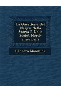 La Questione Dei Negri