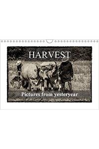 Harvest, Pictures from Yesteryear 2017