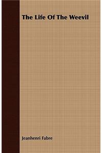 The Life Of The Weevil