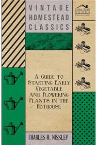 Guide to Starting Early Vegetable and Flowering Plants in the Hothouse