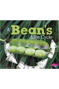 Bean's Life Cycle