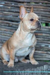Frenchie Pug Affirmations Workbook Frenchie Pug Presents