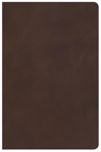 KJV Ultrathin Reference Bible, Brown Genuine Leather