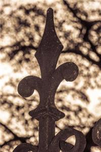 Iron Fleur-de Lis Fence Journal