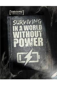 Surviving in a World Without Power