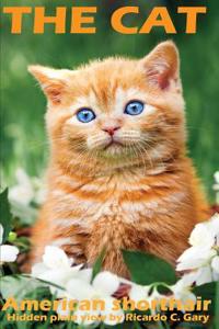 The Cats (American Shorthair)