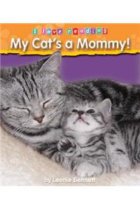My Cat's a Mommy!