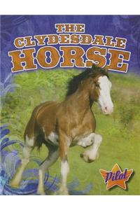 Clydesdale Horse