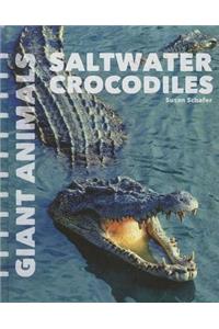 Saltwater Crocodiles