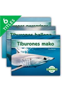 Tiburones Set 1 (Sharks) (Set)