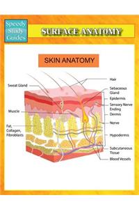 Surface Anatomy (Speedy Study Guides)