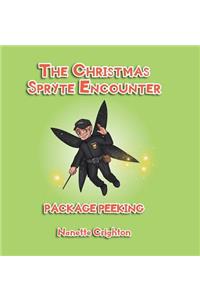 The Christmas Spryte Encounter: Package Peeking