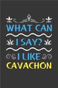 What Can I Say? I Like Cavachon