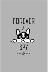 Forever A Spy