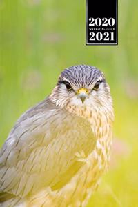 Falcon Hawk Bird Watching Ornithology Week Planner Weekly Organizer Calendar 2020 / 2021 - On the Meadow