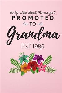 Only The Best Moms Get Promoted To Grandma Brag Book Est 1985