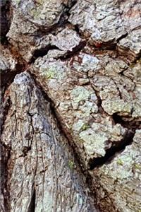 2020 Daily Planner Mighty Oak Tree Bark Photo 388 Pages