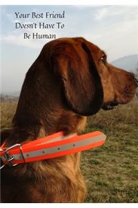 Your Best Friend Doesn't Have to be Human