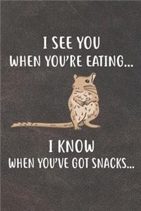 I See You When You're Eating I Know When You've Got Snacks Notebook Journal