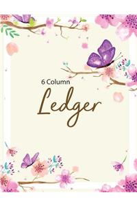6 Column Ledger