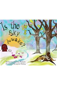 Is the Sky Awake?