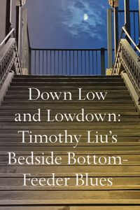 Down Low and Lowdown: Timothy Liu's Bedside Bottom-Feeder Blues