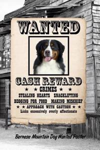 Bernese Mountain Dog Dog Wanted Poster