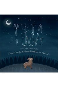 Puda, der kleine Pudu