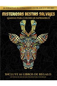 Láminas para colorear imprimibles (Misteriosas bestias salvajes)