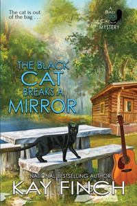 Black Cat Breaks a Mirror