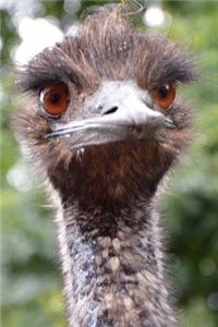 Startled Emu Portrait Journal