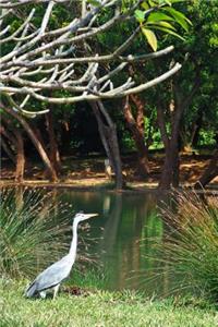 Heron by the Water in Kenya, Africa Journal