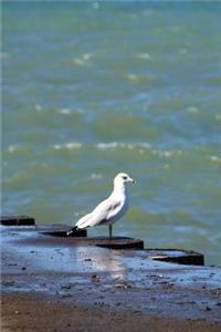 Seagull's Perch - Lined Notebook with Margins